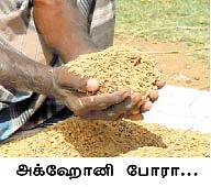 அக்ஹோனி போரா...