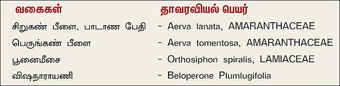நல்மருந்து - தெரிந்த செடிகள்... தெரியாத பயன்கள்! - 8