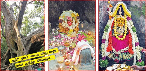 தசாவதாரம் திருத்தலங்கள்!