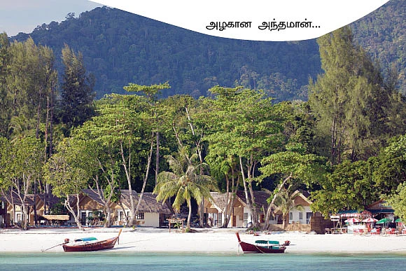 'சாத்தம் ஆலை’ அந்தமான் தீவில் ஓர் ஆசிய ஆச்சரியம்!