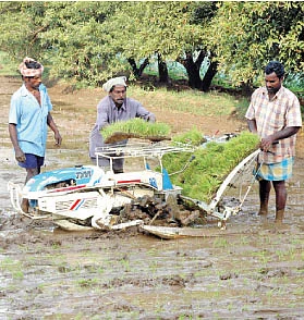 தண்டோரா
