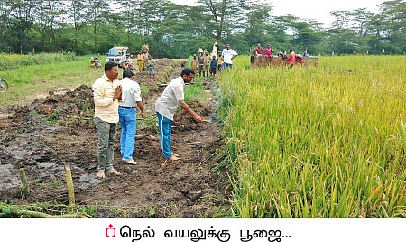 ஒரு ஏக்கர் நிலத்தில் இரண்டரை லட்சம்... செலவில்லா வருமானம்!