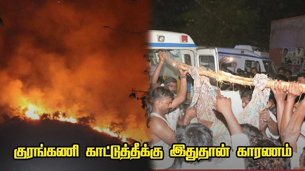 Kurangani Forest Fire : Reason behind the forest fire ?