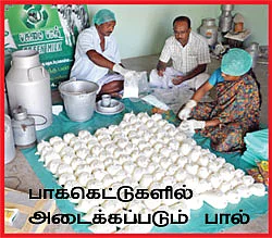 1 லிட்டர் பால் ரூ 24 !