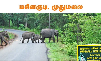டூர் ஸ்பெஷல்