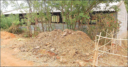 ஏற்றம் தரும் எலுமிச்சை! - 300 மரங்கள்... ஆண்டுக்கு ரூ 7 லட்சம்...