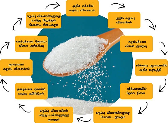 செக்டார் அனாலிசிஸ்!