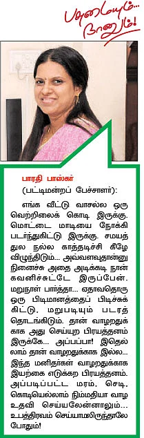 உரச்செலவைக் குறைத்த ஊடுபயிர்...