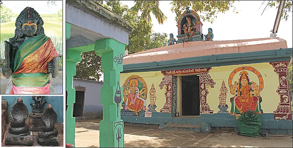 கரு காப்பாள் ஸ்ரீகற்பகவல்லி!