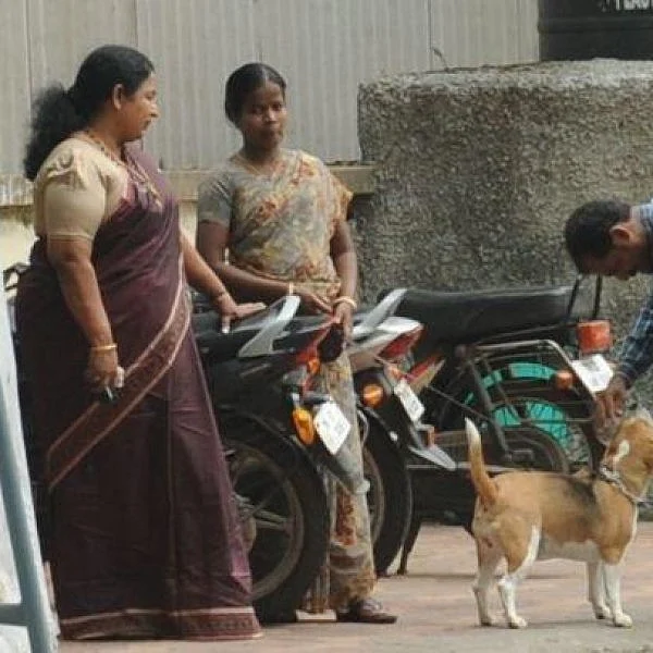 ``பர்சனல் லைஃபை பொறுத்தவரைக்கும் நான் அப்பாவி'' - சி.ஆர்.சரஸ்வதி
