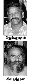 பிச்சை கேட்கும் யானைகள்!