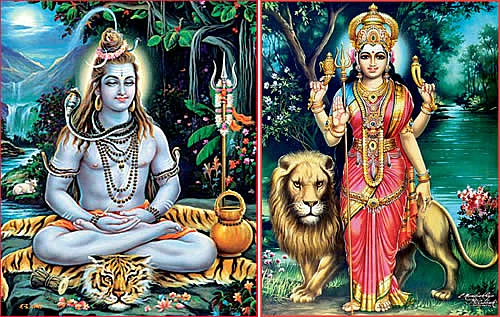 இல்லங்கள் நிறையும் இதயங்கள் பூரிக்கும்! - தை மாத சிறப்பு தொகுப்பு