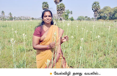 தினம் தினம் பணம்... சம்பங்கி... சாமானியனின் வங்கி!