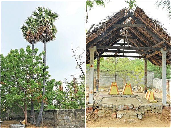 சந்தான வரம் தருவார் துரையப்ப சாஸ்தா!