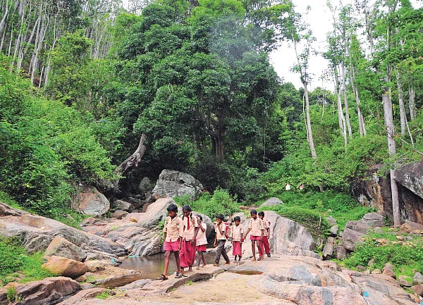 ஆற்றைக் கடந்து மலையில் நடந்து...