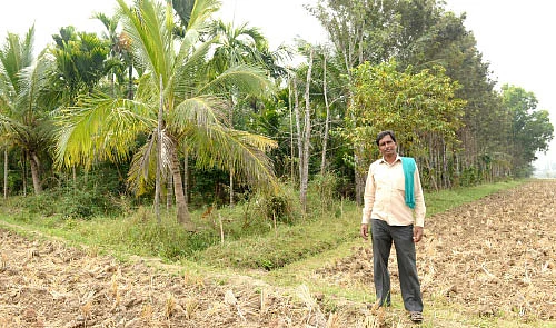 ஒரு ஏக்கர் நிலத்தில் இரண்டரை லட்சம்... செலவில்லா வருமானம்!