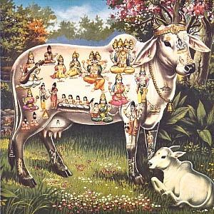 வீட்டிலேயே செய்ய சின்னச் சின்ன வழிபாடுகள்-35