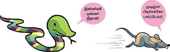 மைடியர் ஜீபா