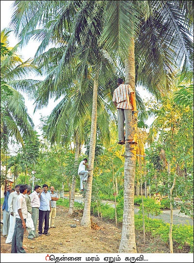 நீங்கள் கேட்டவை: “மரம் வளர்க்க வேண்டாம், காடு வளருங்கள்!”