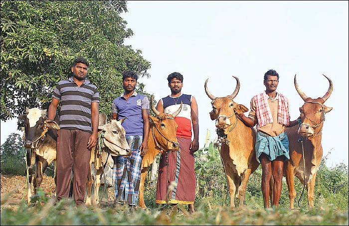 ஏக்கருக்கு ரூ.1 லட்சம் - பலபயிர் சாகுபடியில் ‘பலே’ லாபம்