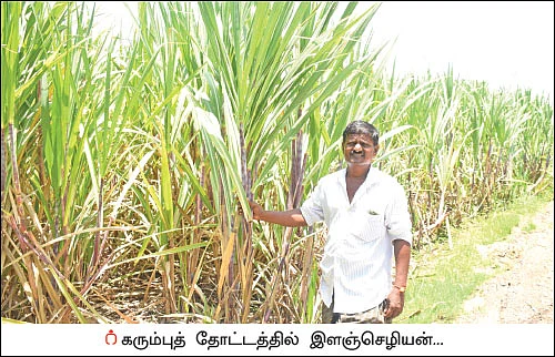 நாட்டுச் சர்க்கரையில் நல்ல வருமானம்! - 13 ஏக்கர்... 10 மாதங்கள்... ரூ 10 லட்சம்
