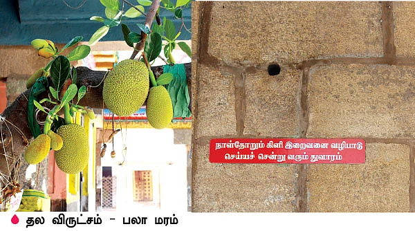 ‘மாப்பிள்ளை சுவாமியை வணங்கினால் மணக்கோலம் நிச்சயம்!’