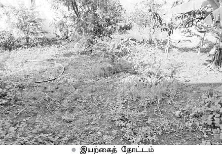 மழைநீர்-சோலார் மின்சாரம்-இயற்கைக் காய்கறிகள்...