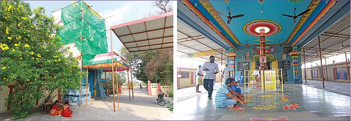 பாகை மேவிய தோகை மயில் முருகன்!