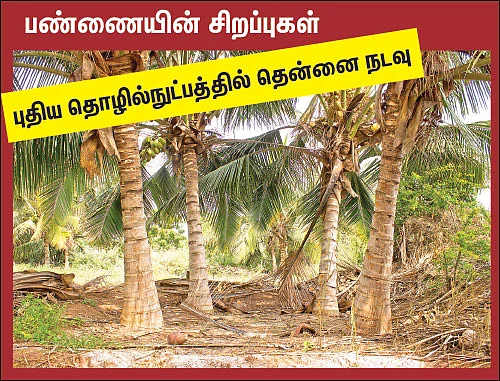 நம்மாழ்வார் சொல்லிய மதிப்புக்கூட்டும் மந்திரம்! - ஒரு நாள் விவசாயி! பருவம்-2