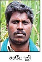 ஆலை வாங்கும் கடனுக்கு அடகு வைக்கப்படும் விவசாயிகள்!