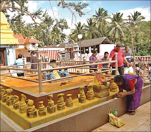 கிரக தோஷங்களும் பரிகாரங்களும்!