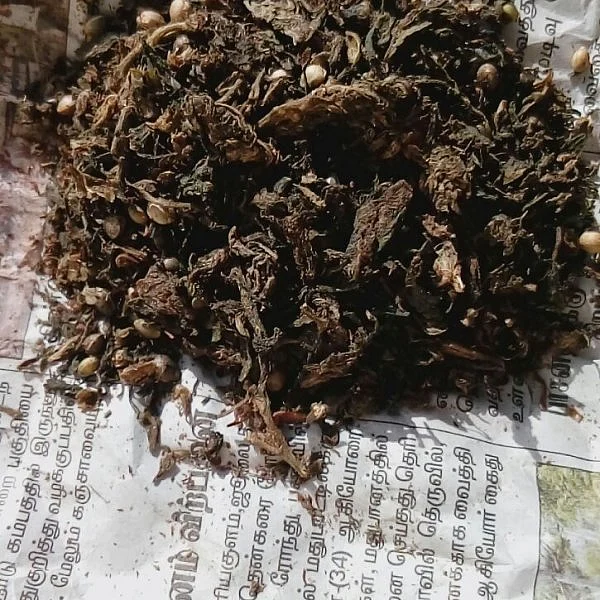 `ஒரு பொட்டலம் 100 ரூபாய்!’ - ஓ.பி.எஸ் ஊரில் கஞ்சா விற்பனை அமோகம்
