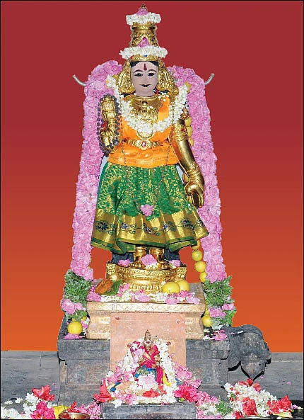 தீரா பிணிகளையும் தீர்க்கும் ‘திருமாத்திரை’ பிரசாதம்!
