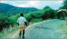 வலையோசை : வீடு.சுரேஸ்குமார்...