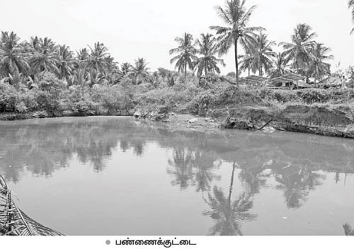 பஞ்சமில்லா பண்ணைக்குட்டை... ஊடுபயிருக்கு உதவிய சோலார்!