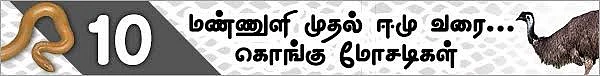 மண்ணுளி முதல் ஈமு வரை! (மிரள வைக்கும் கொங்கு மோசடிகள் - 11)