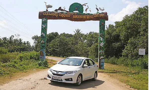 நடுங்க வைத்த நாகரஹொலே!