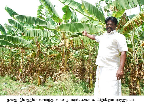 பூஜைக்கு ஏற்ற பூவன்...