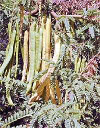 நீங்கள் கேட்டவை