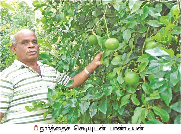 மலைக்க வைக்கும் மலை விவசாயம் - 2 ஏக்கர்... ஆண்டுக்கு ரூ 5.7 லட்சம் வருமானம்