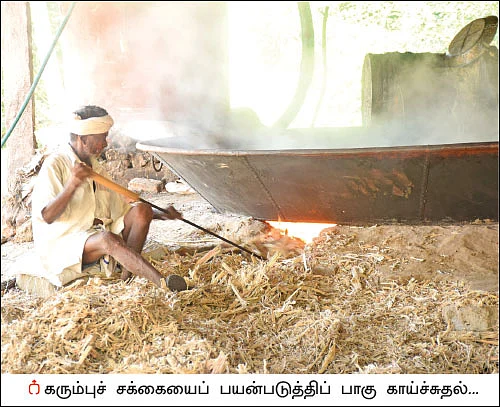 நாட்டுச் சர்க்கரையில் நல்ல வருமானம்! - 13 ஏக்கர்... 10 மாதங்கள்... ரூ 10 லட்சம்
