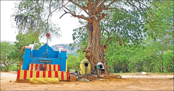 மண்... மக்கள்... தெய்வங்கள்! - 12
