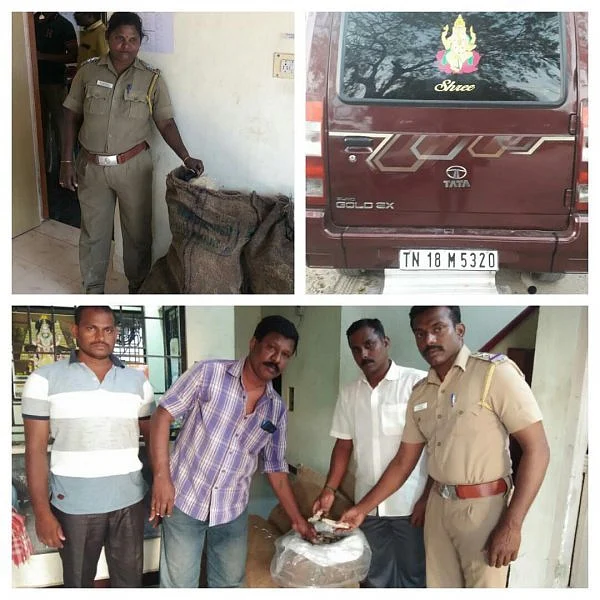அடுத்தடுத்து சிக்கிய கடல் அட்டை, கஞ்சா! - ஏர்வாடி, தனுஷ்கோடியில் போலீஸ் வேட்டை