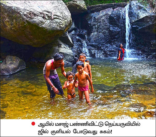 குற்றாலம் போயிருப்பீங்க... குண்டாறு போயிருக்கீங்களா? - பாவூர்சத்திரம் to குண்டாறு