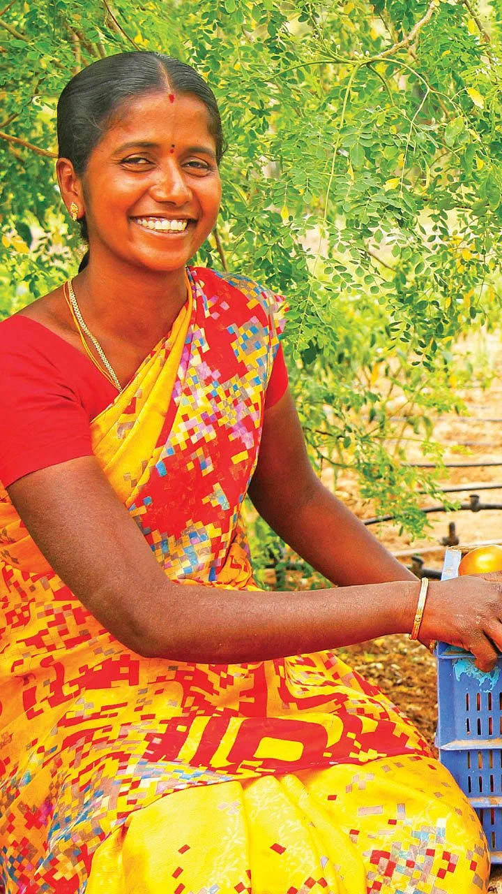 தக்காளி, கத்திரி, மிளகாய், முள்ளங்கி... 3 ஏக்கர்...தினமும் ரூ. 3,000 வருமானம்!