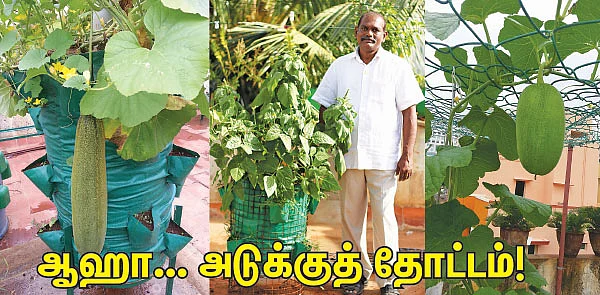 ஆஹா...அடுக்குத் தோட்டம்!