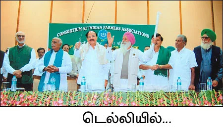 கோயில் வளாகத்தில் குதூகல விவசாயம்!