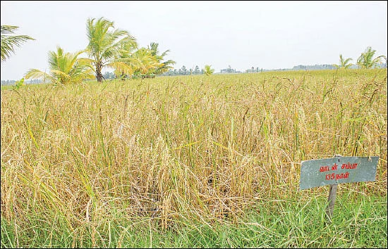 மதிப்புக்கூட்டினால் மகத்தான லாபம்!