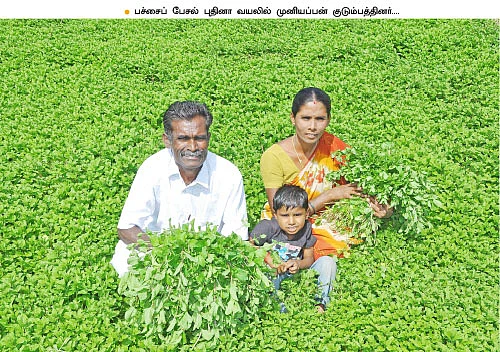 மணக்கும் புதினா... துளிர்க்கும் வருமானம்..!