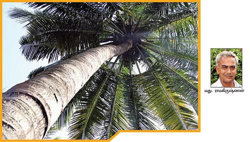 நீங்கள் கேட்டவை